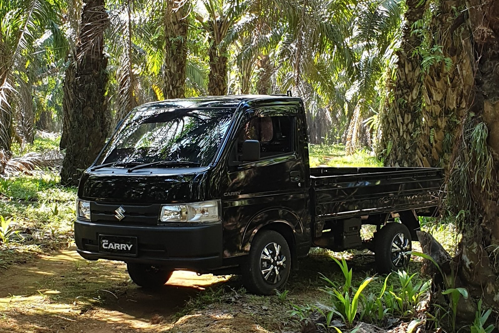 mobil suzuki
