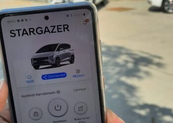 bluelink hyundai stargazer