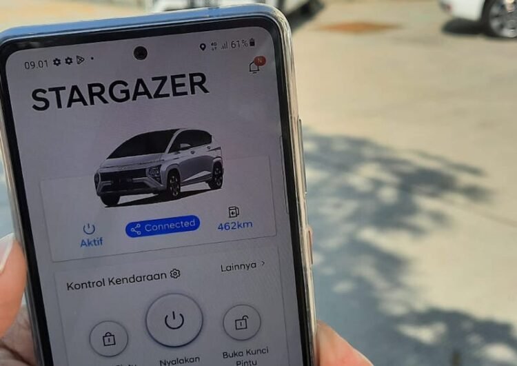 bluelink hyundai stargazer