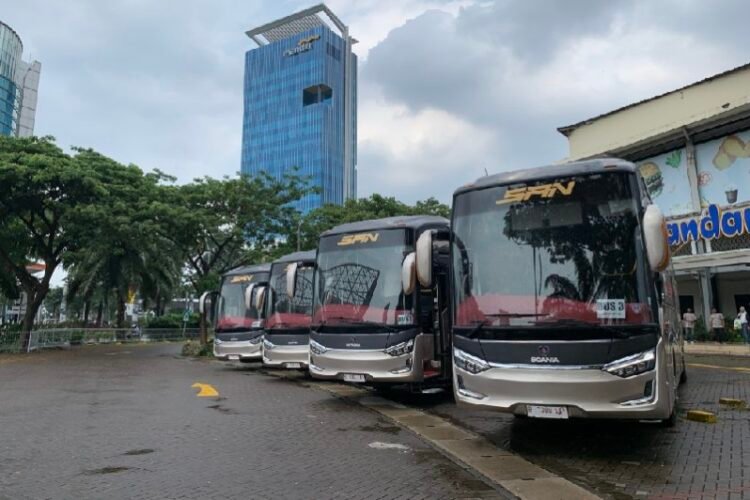 Bus Terbaru