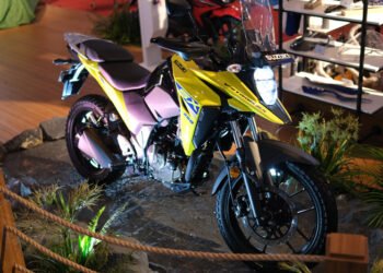 Suzuki V-Strom VX 250