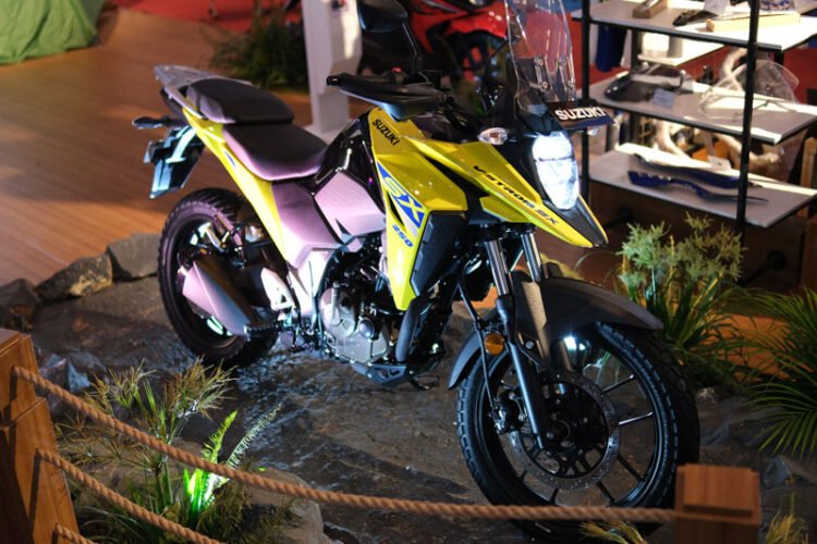 Suzuki V-Strom VX 250