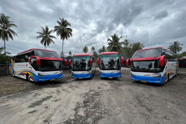 Bus Hino PO Transport Express Jaya