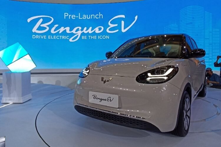 Wuling BinguoEV