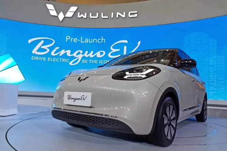 Kekurangan Wuling BinguoEV