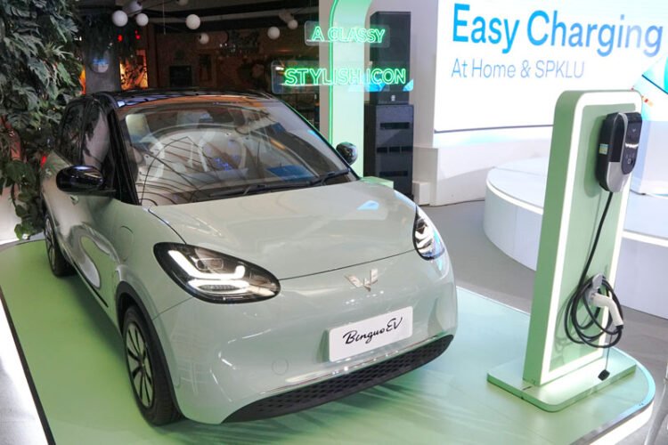 Wuling BinguoEV