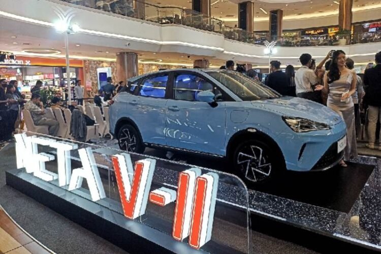 Harga Neta V-II 2024