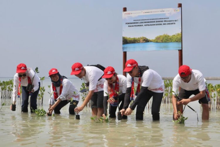 Pohon Mangrove