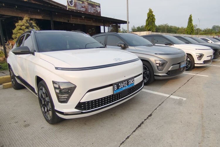 Hyundai Kona Electric