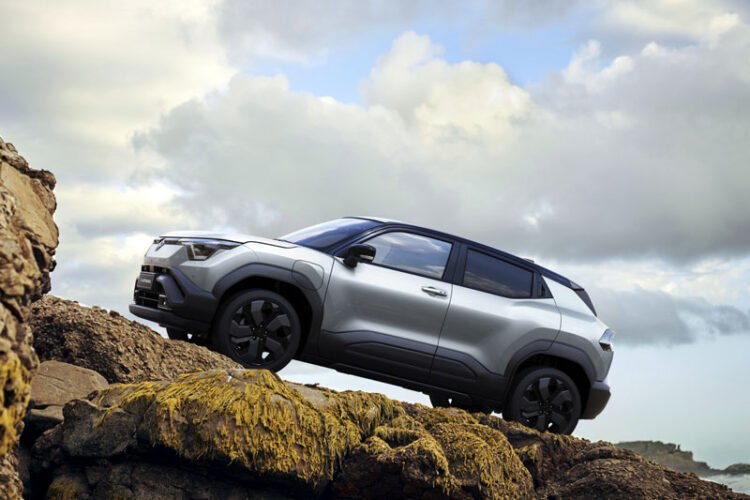 Suzuki e Vitara