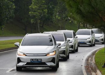 BYD M6