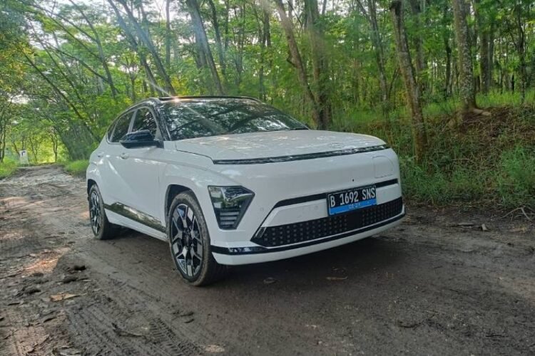 Hyundai Kona Electric
