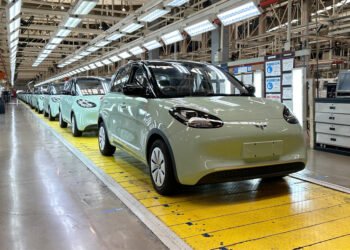 Wuling BinguoEV lite