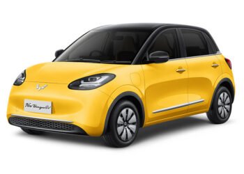 New Wuling BinguoEV