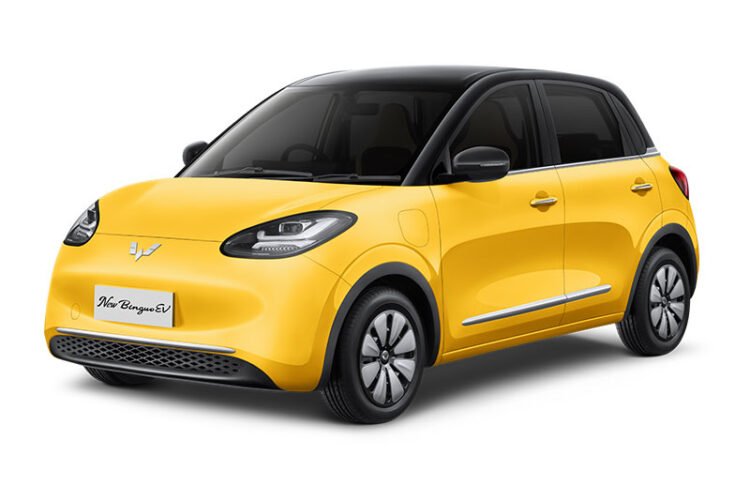 New Wuling BinguoEV
