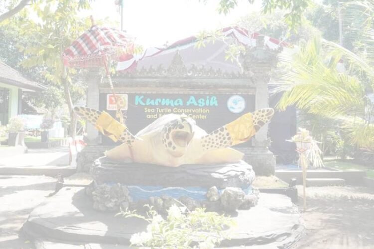 Penyu Untuk Indonesia