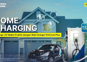 Wall Charger PLN Icon Plus