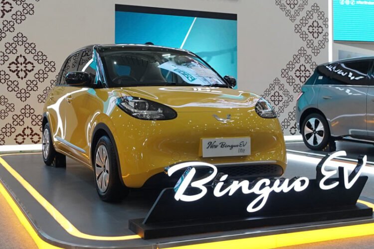 Wuling BinguoEV