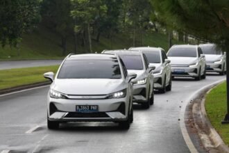 Insentif EV BYD M6