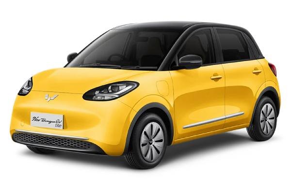 Wuling BinguoEV Lite