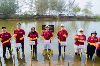 Suzuki Mangrove Pangandaran